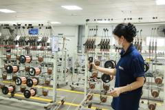 Từ nền tảng chính sách đến chuyển mình mạnh mẽ